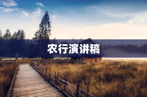 农行演讲稿:数字化时代下的银行服务