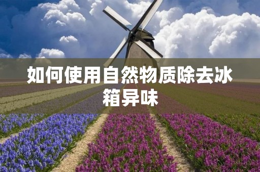 如何使用自然物质除去冰箱异味