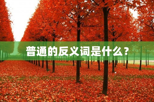 普通的反义词是什么?