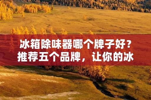 冰箱除味器哪个牌子好？推荐五个品牌，让你的冰箱更健康！