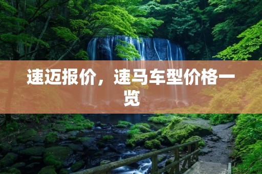 速迈报价，速马车型价格一览