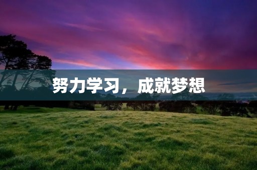 努力学习,成就梦想