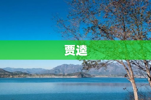贾逵:勤学的传奇 贾逵:勤学的传奇