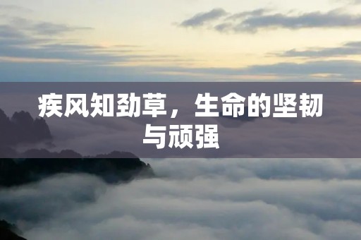 疾风知劲草,生命的坚韧与顽强