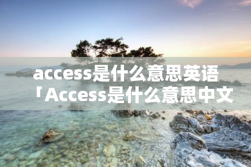 access是什么意思英语「Access是什么意思中文翻译」