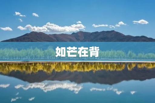 如芒在背:宿命的沉重与自由的选择