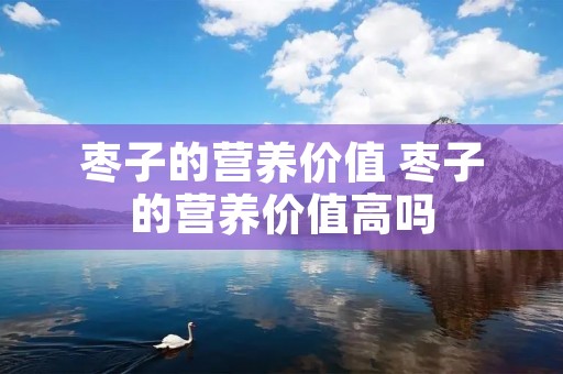枣子的营养价值 枣子的营养价值高吗