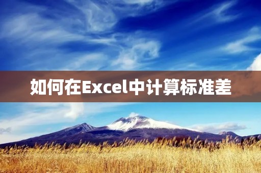 如何在Excel中计算标准差