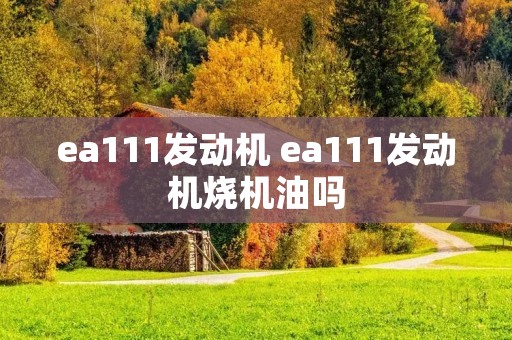ea111发动机 ea111发动机烧机油吗