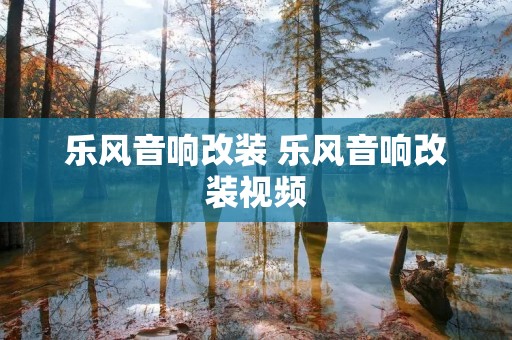 乐风音响改装 乐风音响改装视频