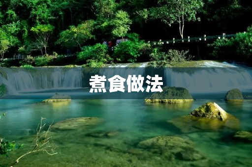 煮食做法:让你成为厨房里的大厨 煮食做法:让你成为厨房里的大厨