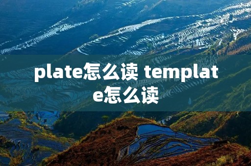 plate怎么读 template怎么读