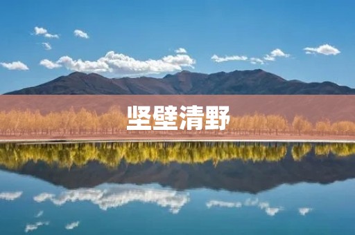 坚壁清野：历史上的战术，现代社会的应用
