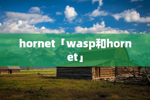 hornet「wasp和hornet」