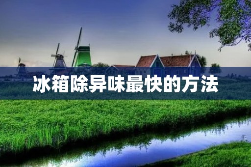 冰箱除异味最快的方法