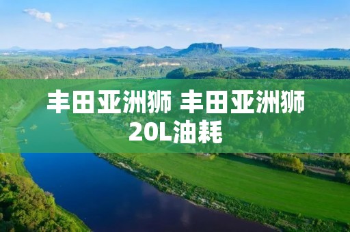 丰田亚洲狮 丰田亚洲狮20L油耗