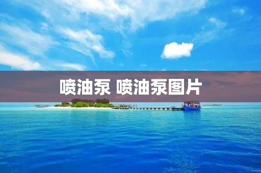 喷油泵 喷油泵图片 喷油泵 喷油泵图片