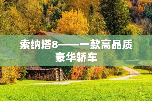 索纳塔8——一款高品质豪华轿车