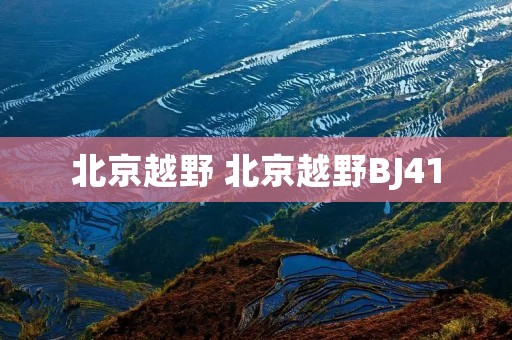北京越野 北京越野BJ41 北京越野 北京越野BJ41