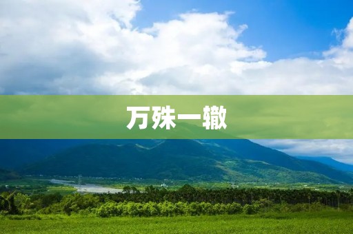 万殊一辙：探析不同文化间的异同