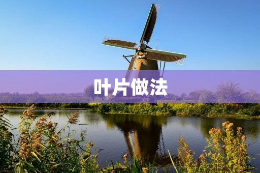叶片做法:如何制作高效的风力发电机叶片 叶片做法:如何制作高效的风力发电机叶片