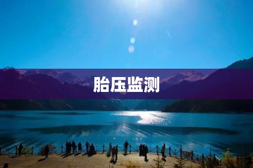 胎压监测:保障行车安全的必备措施 胎压监测:保障行车安全的必备措施