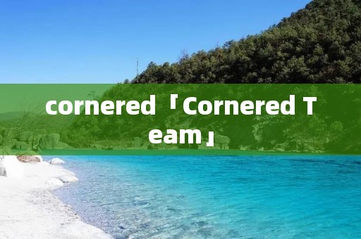 cornered「Cornered Team」 cornered「Cornered Team」
