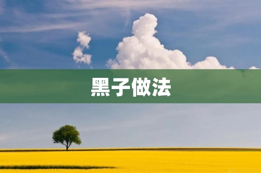 黑子做法:让你的烘焙更加美味 黑子做法:让你的烘焙更加美味