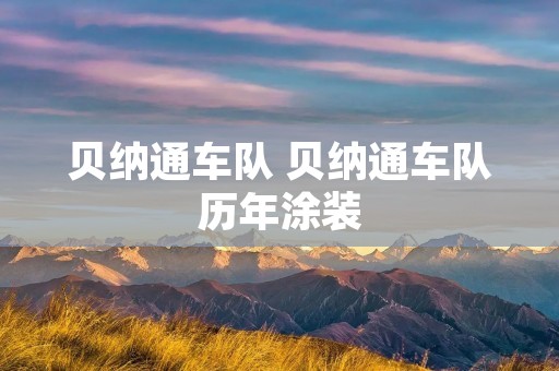 贝纳通车队 贝纳通车队历年涂装 贝纳通车队 贝纳通车队历年涂装