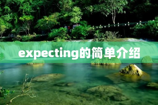 expecting的简单介绍