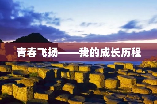 青春飞扬——我的成长历程