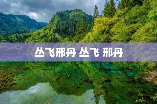 丛飞邢丹 丛飞 邢丹