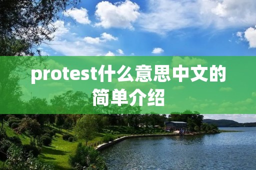 protest什么意思中文的简单介绍 protest什么意思中文的简单介绍