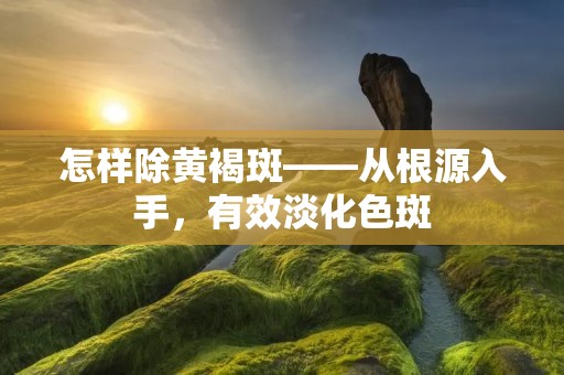 怎样除黄褐斑——从根源入手,有效淡化色斑 怎样除黄褐斑——从根源入手,有效淡化色斑