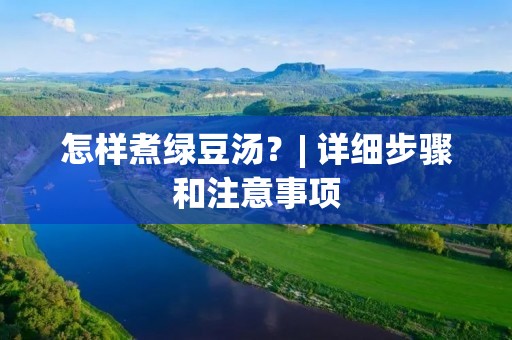 怎样煮绿豆汤？| 详细步骤和注意事项
