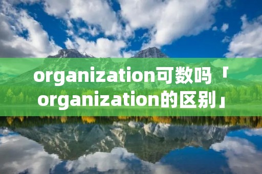 organization可数吗「organization的区别」