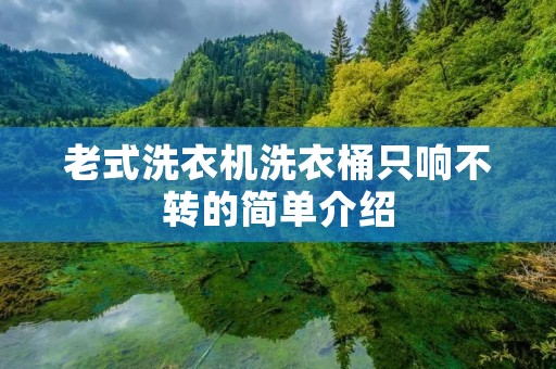 老式洗衣机洗衣桶只响不转的简单介绍