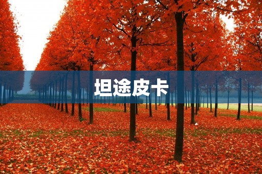 坦途皮卡：它的实力不容小觑