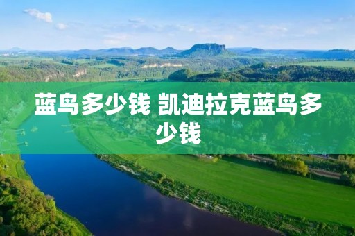 蓝鸟多少钱 凯迪拉克蓝鸟多少钱
