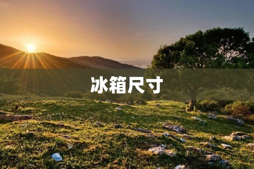冰箱尺寸：如何选择适合自己的标准尺寸？