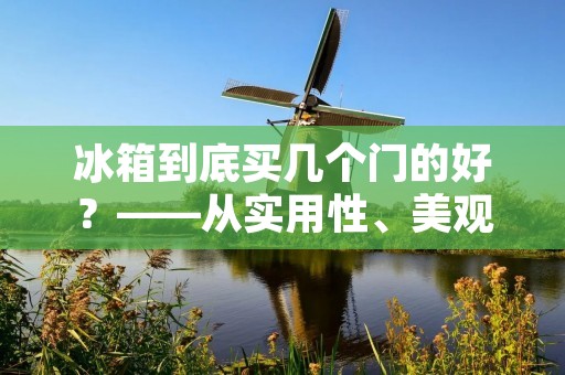冰箱到底买几个门的好？——从实用性、美观性、价格等方面分析