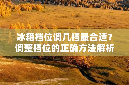 冰箱档位调几档最合适?调整档位的正确方法解析 冰箱档位调几档最合适?调整档位的正确方法解析