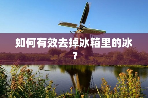 如何有效去掉冰箱里的冰? 如何有效去掉冰箱里的冰?