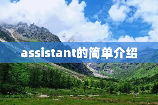 assistant的简单介绍 assistant的简单介绍