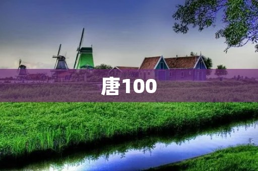 唐100：一段璀璨的历史