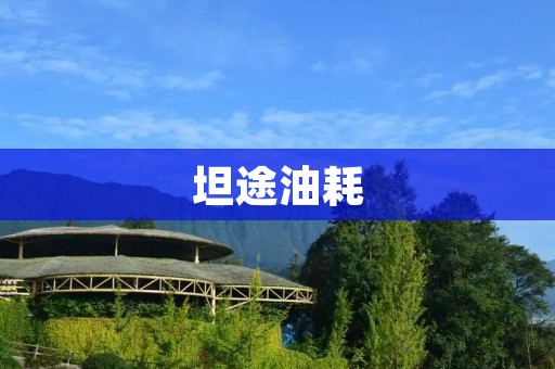 坦途油耗:如何让油耗更加节省? 坦途油耗:如何让油耗更加节省?