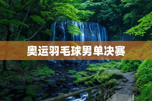 奥运羽毛球男单决赛：林丹与谌龙的较量