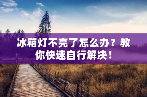 冰箱灯不亮了怎么办？教你快速自行解决！