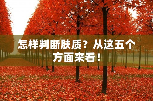 怎样判断肤质？从这五个方面来看！