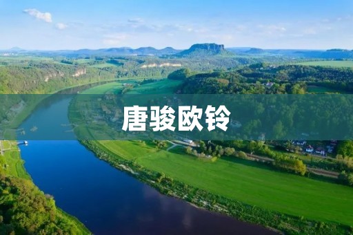 唐骏欧铃:从创业到成功的故事 唐骏欧铃:从创业到成功的故事